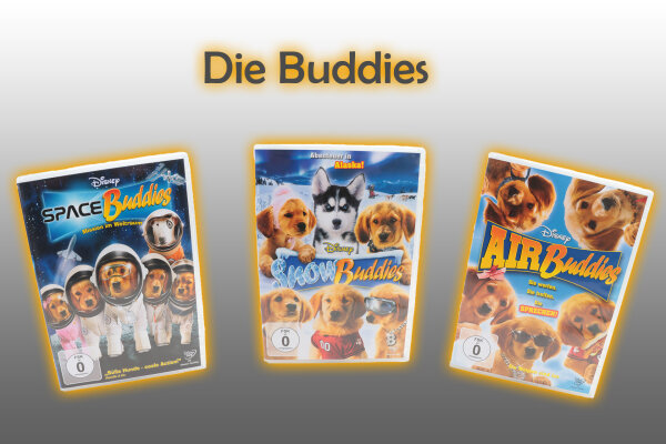 DVD Collection &quot;Die Buddies&quot; - DVD Collection &quot;Die Buddies&quot;